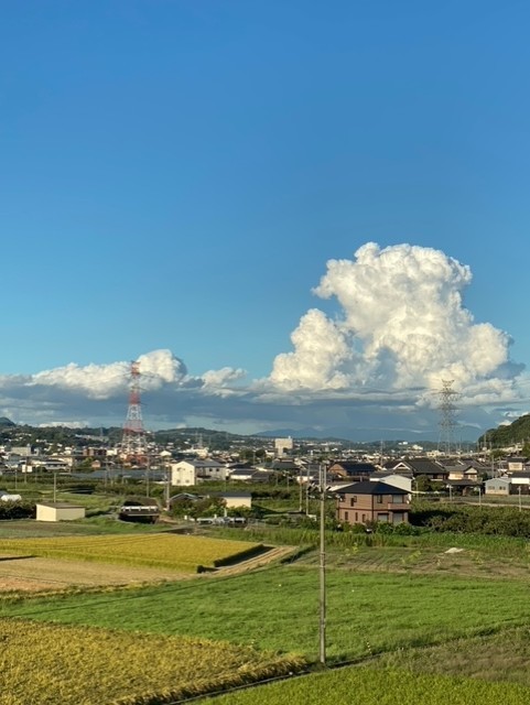 田んぼ１.jpg