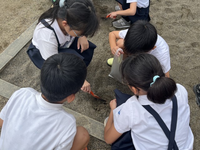 小学校　パンチラ 橋本市立城山小学校 | 学校日記 | １㎏の重さを作ろう