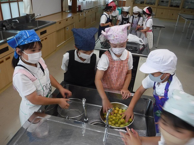6月、梅をきれいに洗ったよ。